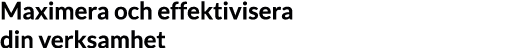 Maximera och effektivisera din verksamhet
