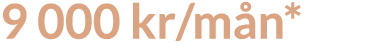 9 000 kr mån*