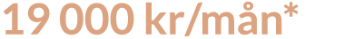 19 000 kr mån*